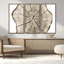 Abstract Wood Tree Ring Wall Art - Ready to Hang Minimalist