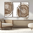 Wood Tree Ring Wall Art Canvas Prints, Tree Rings –