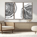 Abstract Large Tree Rings – Minimalist Black and White Wood