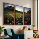Oregon Stadium Canvas Wall Art - Captivating Game Day Scene