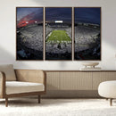 Penn State University Nittany Lions Football Team Print -