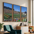 University of Missouri Tigers Football Team Print - Columbia