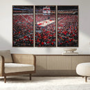 Louisville Cardinals Basketball Print Canvas - Louisville by MyGreatCanvas | Canvas Wall Art Prints | Photo Prints & Wall Decor