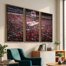 Louisville Cardinals Basketball Print Canvas - Louisville