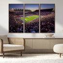 Texas A&M University Aggies Football Team Print - College