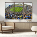 Boca Juniors Soccer Team Print Wall Art - Buenos Aires