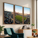 Boca Juniors Soccer Team Print - Buenos Aires Bombonera