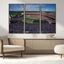 South Carolina Gamecocks Football Team Print - Columbia