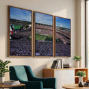 South Carolina Gamecocks Football Team Print - Columbia