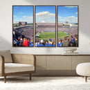 Buffalo Bills NFL Football Team Print - Buffalo Highmark