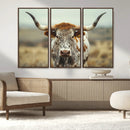 Texas Cow Longhorn Wall Art Canvas Print for Farm House Wall