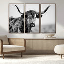 Texas Cow Longhorn Wall Art Canvas Print in Black and White