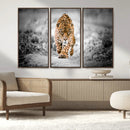 Jaguar Wall Art Canvas Print - Majestic Big Cat in Focused by MyGreatCanvas | Canvas Wall Art Prints | Photo Prints & Wall Decor