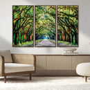 Serene Tree Tunnel Wall Art Canvas Print – Pathway Under by MyGreatCanvas | Canvas Wall Art Prints | Photo Prints & Wall Decor