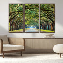 Wormsloe State Plantation Driveway Wall Art Canvas Print by MyGreatCanvas | Canvas Wall Art Prints | Photo Prints & Wall Decor