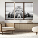 Resting Grizzly Bear Wall Art Canvas Print – Majestic Lazy by MyGreatCanvas | Canvas Wall Art Prints | Photo Prints & Wall Decor