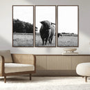 Black and White Highland Cow Wall Art Canvas Print | Rustic