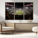 Eagles Field Stadium Wall Art - Philadelphia Eagles Football