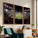 Eagles Field Stadium Wall Art - Philadelphia Eagles Football