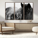 Black Horse in Snow Canvas Print | Winter Horse Wall Art |