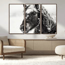 Framed Black and White Horse Wall Art | Ready to Hang and by MyGreatCanvas | Canvas Wall Art Prints | Photo Prints & Wall Decor