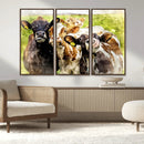 Curious Cows Farmhouse Wall Art | Ready to Hang and Framed
