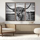 Scottish Highland Cow Wall Art Canvas Print | Ready to Hang
