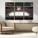 Honda Center California Anaheim Ducks Ice Hockey Stadium