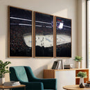 Honda Center California Anaheim Ducks Hockey Stadium Wall