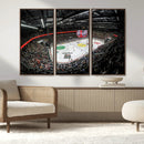 Vaudoise Lausanne Ice Hockey Arena Stadium Wall Art Canvas,