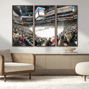 Xcel Energy Center St Paul Minnesota Wild Ice Hockey Stadium