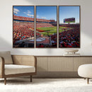 Florida Tampa Raymond James Stadium Wall Art Canvas Print - by MyGreatCanvas | Canvas Wall Art Prints | Photo Prints & Wall Decor