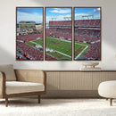 Florida Tampa Raymond James Stadium Wall Art Canvas Print -