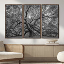 Majestic Angel Oak Tree Black and White Canvas Print – Multi by MyGreatCanvas | Canvas Wall Art Prints | Photo Prints & Wall Decor