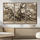 Sepia Framed Angel Oak Tree Wall Art - 3-Panel Canvas