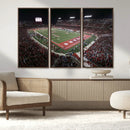 Houston Cougars Football Team Print - Houston TDECU Stadium
