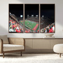 Houston Cougars Football Team Print - Houston TDECU Stadium