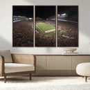 Wisconsin Badgers Football Team Print - Madison Camp Randall