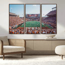 Framed Texas Memorial Stadium Canvas, University of Texas