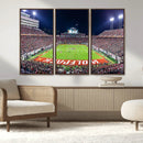 Wolfpack Football Team Print - Raleigh Carter-Finley Stadium