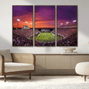 East Carolina University Pirates Football Print Canvas-
