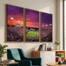 East Carolina University Pirates Football Print Canvas-