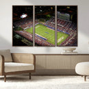 Florida Atlantic University Owls Canvas Print, Football Team by MyGreatCanvas | Canvas Wall Art Prints | Photo Prints & Wall Decor