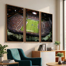 Florida Atlantic University Owls Football Team Print - Boca