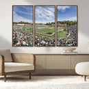 University of Charlotte 49ers Football Team Print - by MyGreatCanvas | Canvas Wall Art Prints | Photo Prints & Wall Decor
