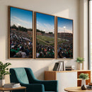 University of Charlotte 49ers Football Team Print -