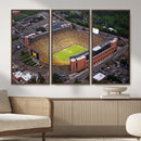 University of Michigan Wolverines Football Team Print - Ann