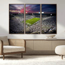 Penn State Nittany Lions Football Team Print - University