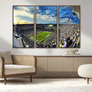 Framed USF Bulls Football Team Print - Tampa Raymond James by MyGreatCanvas | Canvas Wall Art Prints | Photo Prints & Wall Decor