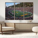 University of California Golden Bears Football Team Print - by MyGreatCanvas | Canvas Wall Art Prints | Photo Prints & Wall Decor